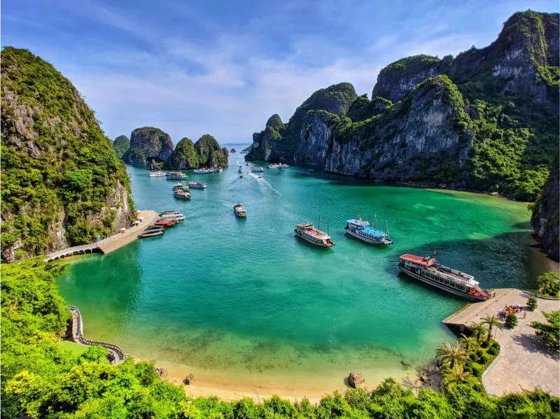Vietnam and Thailand Are Rewriting the Rules of US Import Sourcing — Is Your Supply Chain Ready?